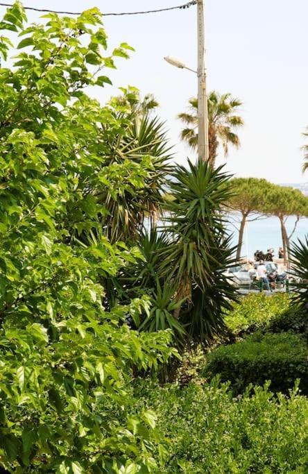 Blue Summer Vibes Duplex Studio For 4P, Ac, Sea View, Parking, Beach At 50M, Spa Access -3 La Ciotat Eksteriør bilde